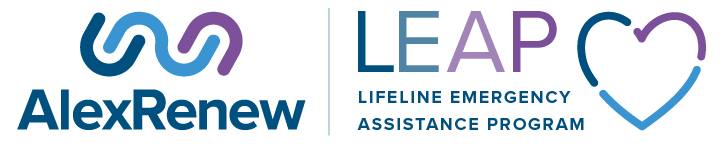LEAP Lockup Logo